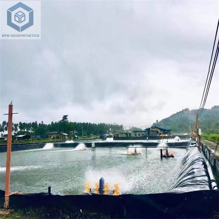 Balık Çiftliği Gölet Astarı Tayland